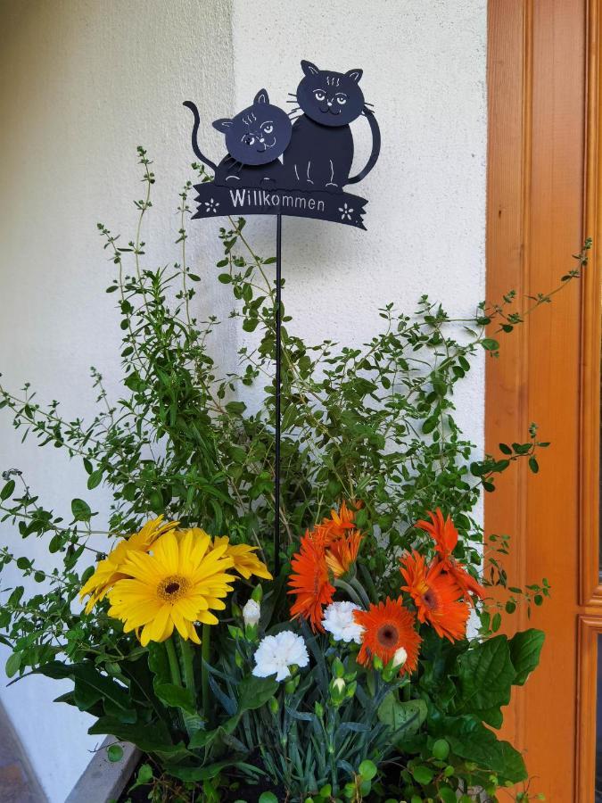Hotel Zell Am 3*